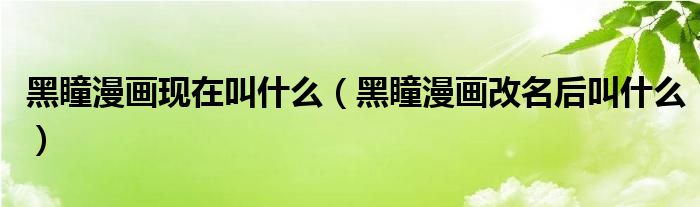 黑瞳漫画现在叫什么（黑瞳漫画改名后叫什么）