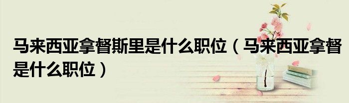 马来西亚拿督斯里是什么职位（马来西亚拿督是什么职位）