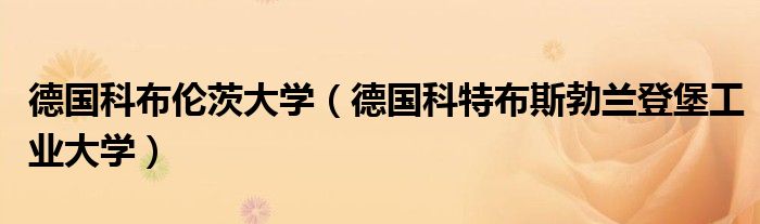 德国科布伦茨大学（德国科特布斯勃兰登堡工业大学）
