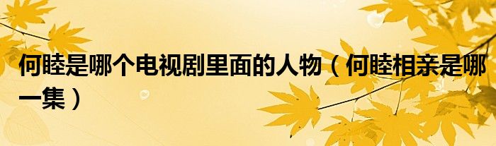 何睦是哪个电视剧里面的人物（何睦相亲是哪一集）