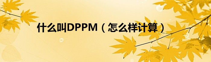 什么叫DPPM（怎么样计算）