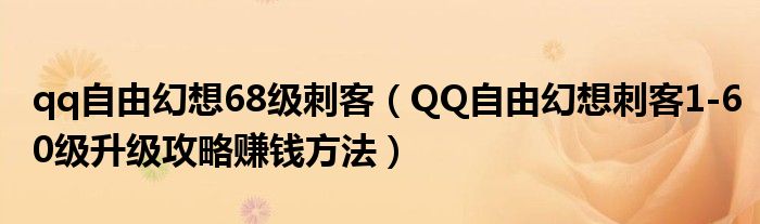 qq自由幻想68级刺客（QQ自由幻想刺客1-60级升级攻略赚钱方法）