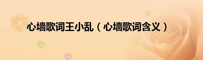 心墙歌词王小乱（心墙歌词含义）
