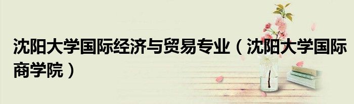 沈阳大学国际经济与贸易专业（沈阳大学国际商学院）