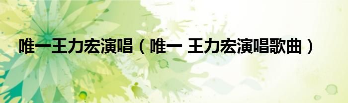 唯一王力宏演唱（唯一 王力宏演唱歌曲）