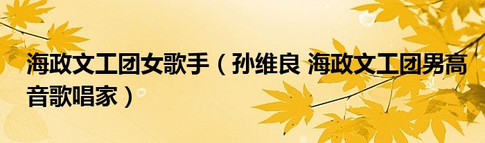 海政文工团女歌手（孙维良 海政文工团男高音歌唱家）