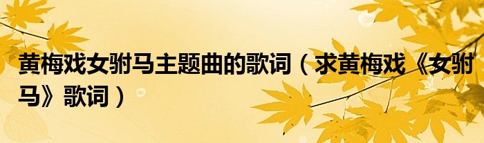 黄梅戏女驸马主题曲的歌词（求黄梅戏《女驸马》歌词）