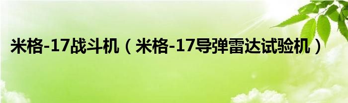 米格-17战斗机（米格-17导弹雷达试验机）