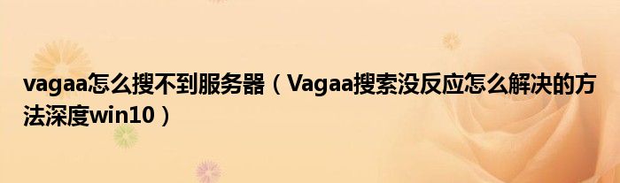 vagaa怎么搜不到服务器（Vagaa搜索没反应怎么解决的方法深度win10）