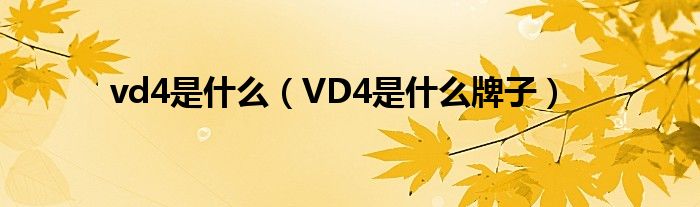 vd4是什么（VD4是什么牌子）