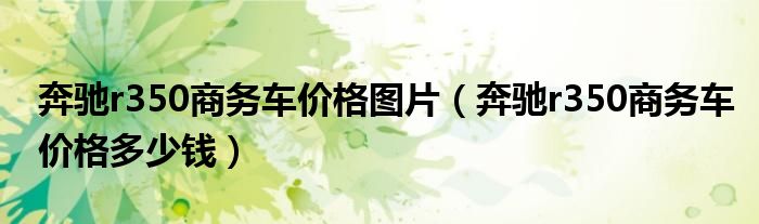 奔驰r350商务车价格图片（奔驰r350商务车价格多少钱）
