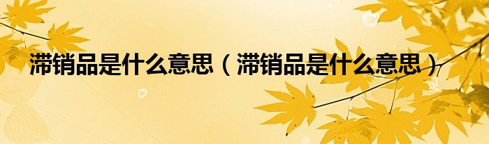 滞销品是什么意思（滞销品是什么意思）