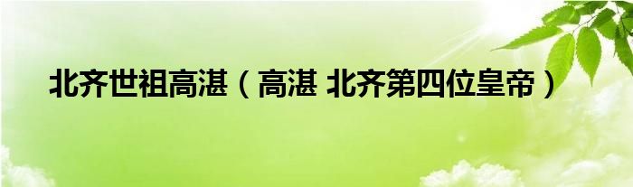 北齐世祖高湛（高湛 北齐第四位皇帝）
