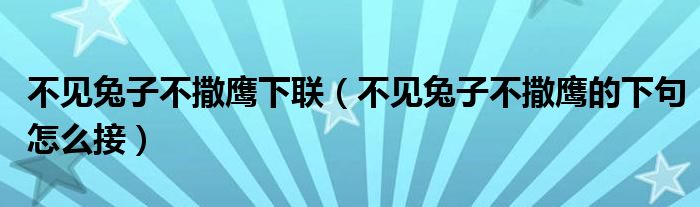 不见兔子不撒鹰下联（不见兔子不撒鹰的下句怎么接）