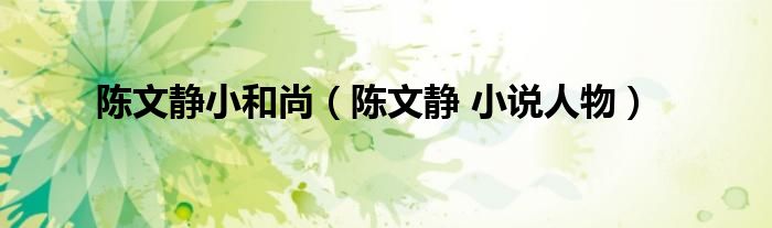 陈文静小和尚（陈文静 小说人物）