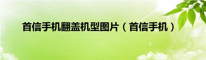 首信手机翻盖机型图片（首信手机）