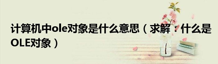 计算机中ole对象是什么意思（求解：什么是OLE对象）