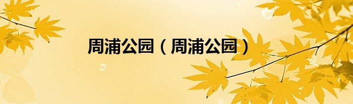 周浦公园（周浦公园）