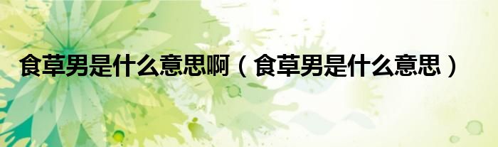 食草男是什么意思啊（食草男是什么意思）