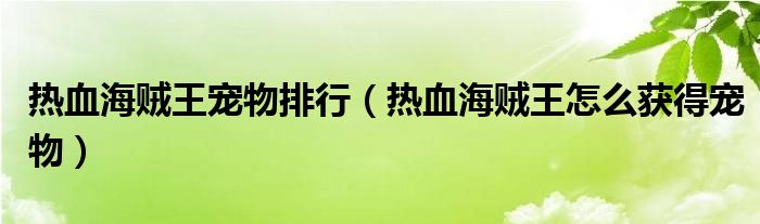 热血海贼王宠物排行（热血海贼王怎么获得宠物）