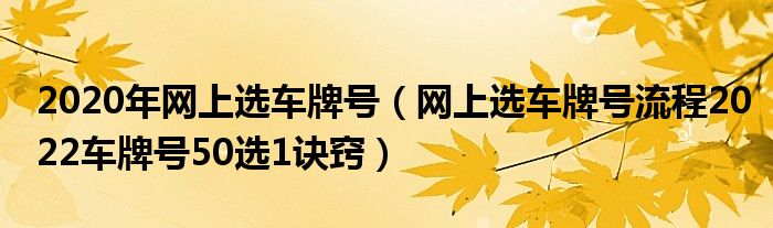 2020年网上选车牌号（网上选车牌号流程2022车牌号50选1诀窍）