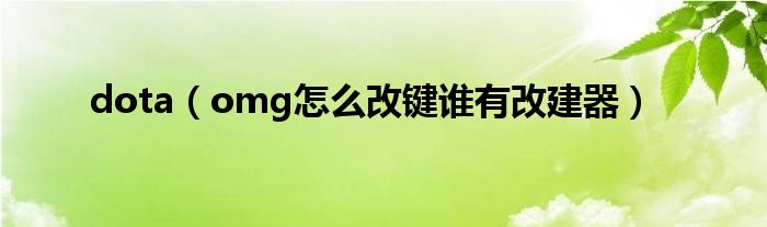 dota（omg怎么改键谁有改建器）