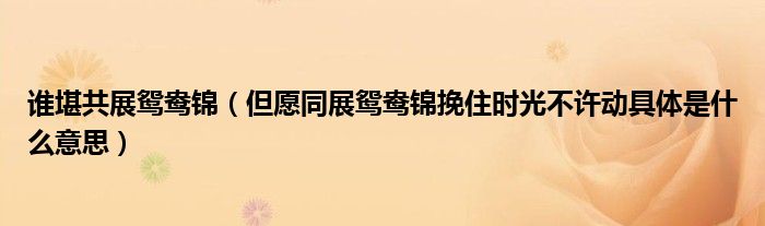 谁堪共展鸳鸯锦（但愿同展鸳鸯锦挽住时光不许动具体是什么意思）