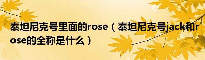 泰坦尼克号里面的rose（泰坦尼克号jack和rose的全称是什么）