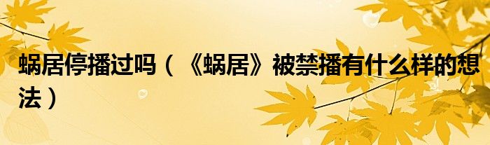 蜗居停播过吗（《蜗居》被禁播有什么样的想法）