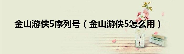 金山游侠5序列号（金山游侠5怎么用）