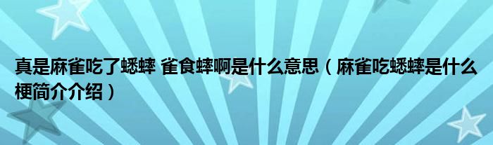 真是麻雀吃了蟋蟀 雀食蟀啊是什么意思（麻雀吃蟋蟀是什么梗简介介绍）