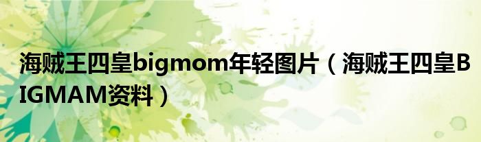 海贼王四皇bigmom年轻图片（海贼王四皇BIGMAM资料）