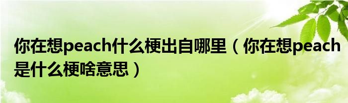 你在想peach什么梗出自哪里（你在想peach是什么梗啥意思）