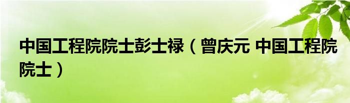 中国工程院院士彭士禄（曾庆元 中国工程院院士）