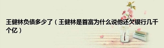 王健林负债多少了（王健林是首富为什么说他还欠银行几千个亿）
