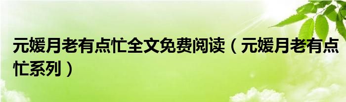 元媛月老有点忙全文免费阅读（元媛月老有点忙系列）