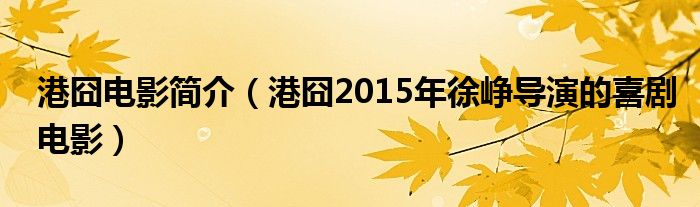 港囧电影简介（港囧2015年徐峥导演的喜剧电影）