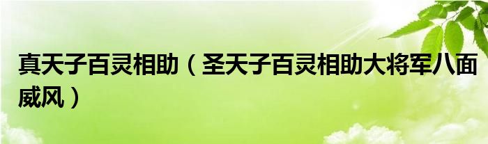 真天子百灵相助（圣天子百灵相助大将军八面威风）