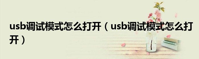usb调试模式怎么打开（usb调试模式怎么打开）