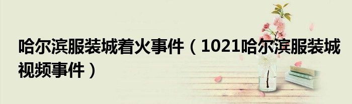 哈尔滨服装城着火事件（1021哈尔滨服装城视频事件）