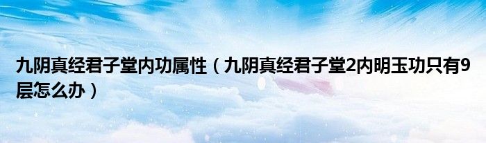 九阴真经君子堂内功属性（九阴真经君子堂2内明玉功只有9层怎么办）