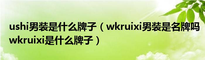 ushi男装是什么牌子（wkruixi男装是名牌吗wkruixi是什么牌子）