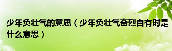 少年负壮气的意思（少年负壮气奋烈自有时是什么意思）