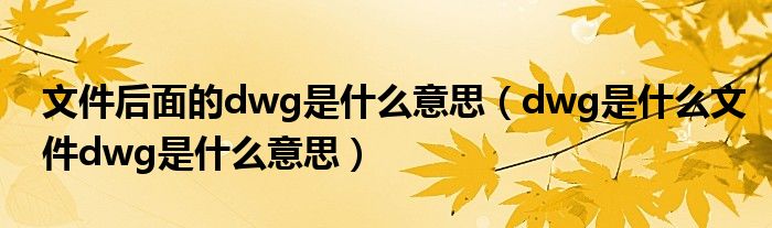 文件后面的dwg是什么意思（dwg是什么文件dwg是什么意思）