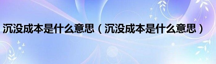沉没成本是什么意思（沉没成本是什么意思）