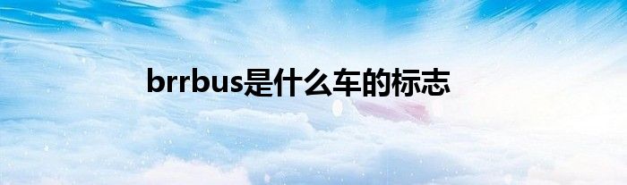 brrbus是什么车的标志