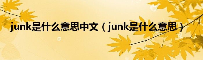 junk是什么意思中文（junk是什么意思）