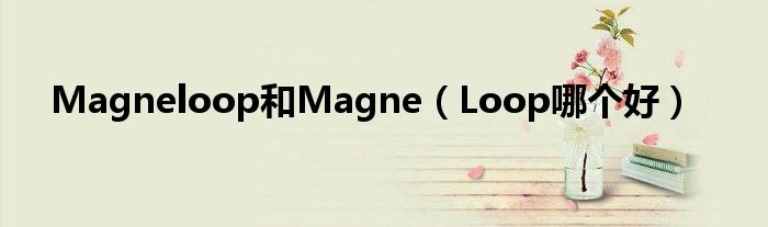 Magneloop和Magne（Loop哪个好）