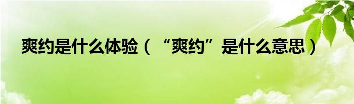 爽约是什么体验（“爽约”是什么意思）