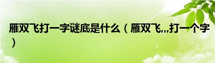 雁双飞打一字谜底是什么（雁双飞,,,打一个字）